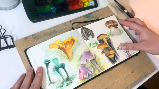 Watercolor Sketchbook Practice Sessions #1 - Mushrooms