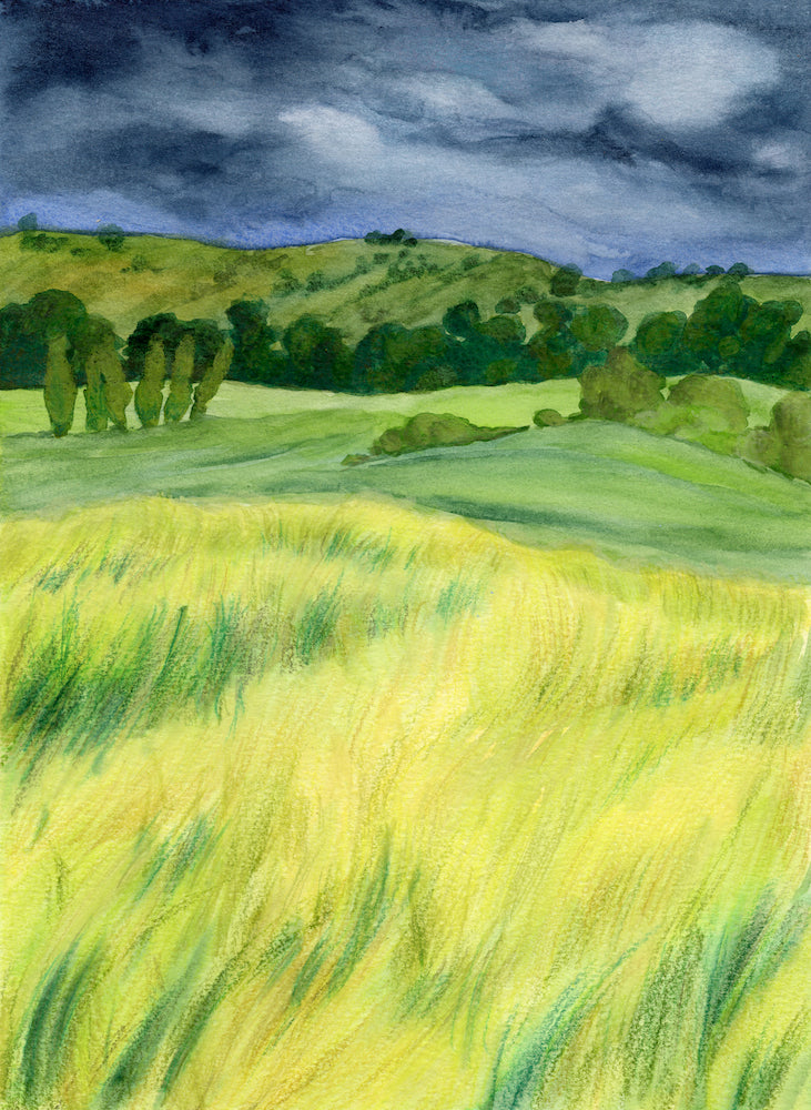 meadow before rain art print